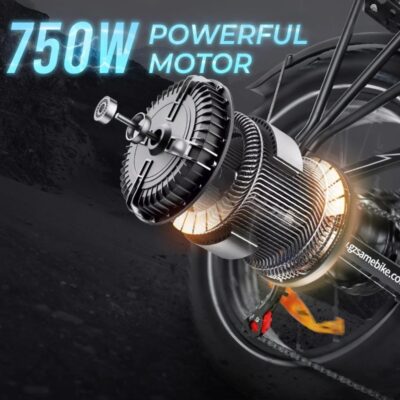 Samebike LOTDM200-II