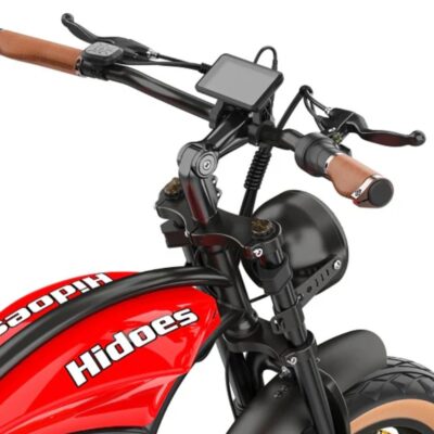 Hidoes B10