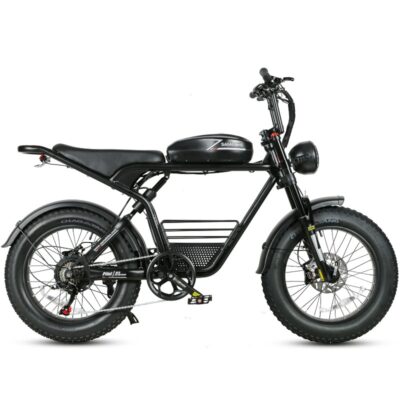 M20 1000W Samebike