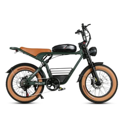 M20 1000W Samebike