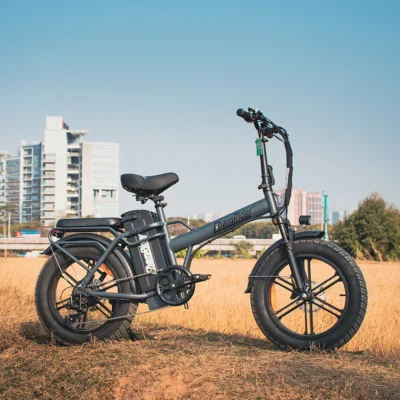 ChamRider DTS425 32Ah
