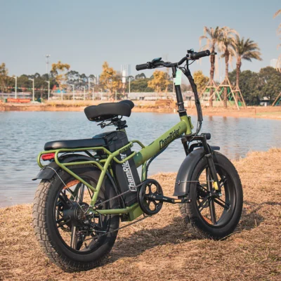ChamRider DTS425 32Ah