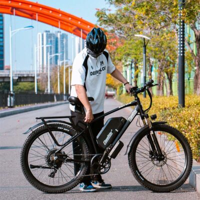 ChamRider DM427 27Ah