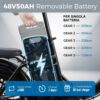 ChamRider DT450 doppia batteria 86/100Ah
