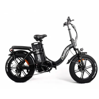ChamRider DT450 doppia batteria 86/100Ah