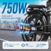 ChamRider DT450 doppia batteria 86/100Ah