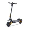 HILEY TIGER KING RS