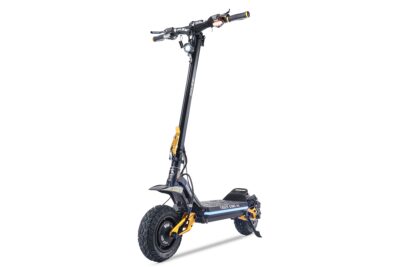 HILEY TIGER KING RS