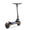 HILEY TIGER KING RS