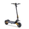 HILEY TIGER KING RS