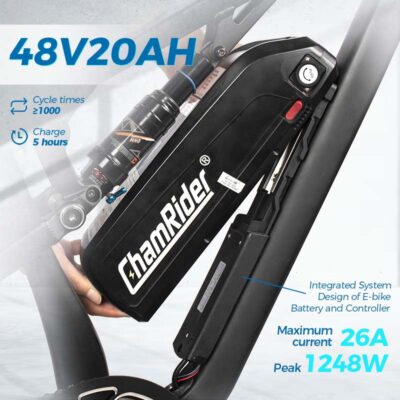 DH420 (1) ChamRider DH420