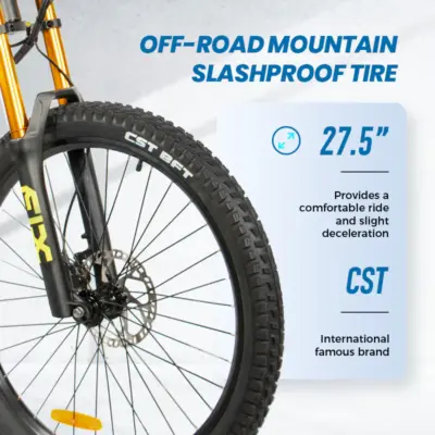 DH420 (5) ChamRider DH420